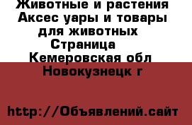 Животные и растения Аксесcуары и товары для животных - Страница 3 . Кемеровская обл.,Новокузнецк г.